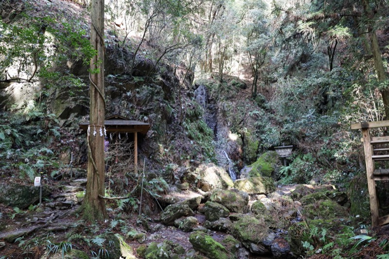 日和田山、物見山